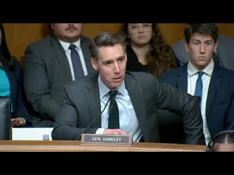 'This Is Hell': Boeing Whistleblower Tells Hawley Planes Aren’t Safe & He’s Being Targeted By Execs