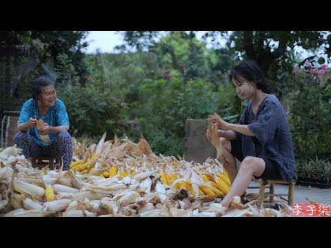 金黄的季节，载满了收获的喜悦和玉米的香甜Golden season,full of pleasure of harvest and sweetness of corn | LiziqiChannel