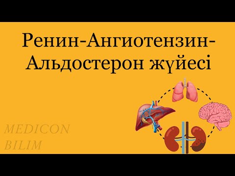 Ренин-Ангиотензин-Альдостерон жүйесі | РААС | Физиология курсқа тіркелу👇