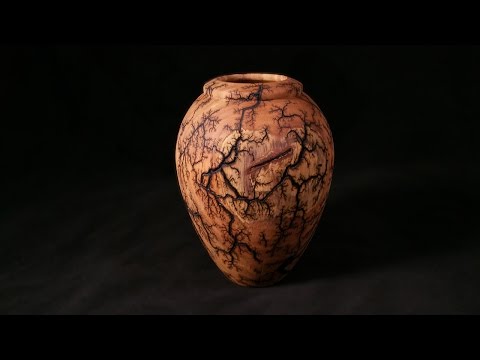 Lichtenberg Fractal Burned Vessel