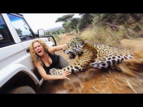 Safari Trips Went Horribly Wrong