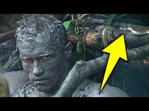 Predator (1987): 20 Weird Facts You Didn't Know About