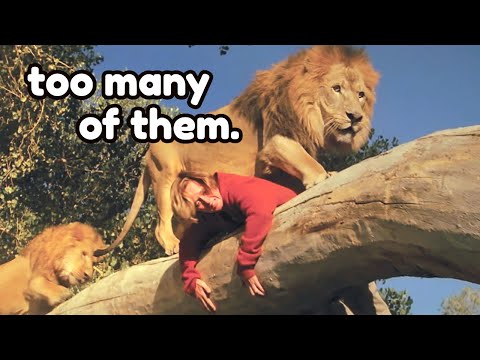 There are 71 Lions in this movie