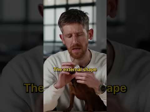 They tried to copy our product...