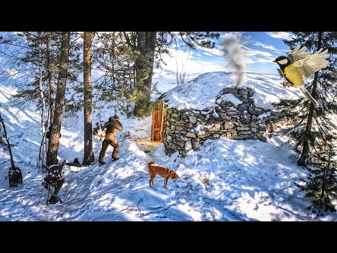 ВЕРНУЛИСЬ В КАМЕННЫЙ ДОМ СПУСТЯ ДВА ГОДА И ВОТ, ЧТО С НИМ СЛУЧИЛОСЬ... МЕДВЕДИ РЯДОМ! ЛЕСНАЯ КУХНЯ