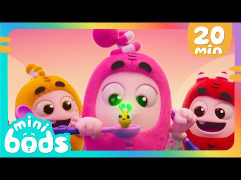 The Hungry Wrigglepillar! | Minibods | Preschool Cartoons