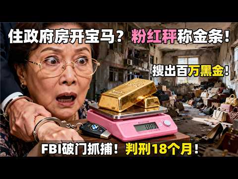 美国绿卡当场作废！纽约婆婆装穷骗低保，逼儿媳假离婚，最后孙子退学砸钢琴，全家梦碎法拉盛！