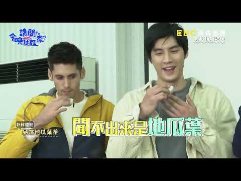 【台灣芯茶 Xin Tea】今晚住誰家 擴金地瓜葉茶 採收機居然這麼好玩