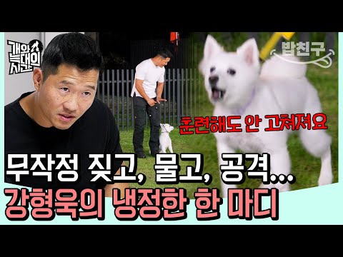 [#밥친구] 강형욱 “훈련해도 안 바뀐다” 냉정한 조언... 짖고 물고 덤비는 통제불가 문제견의 실태 | 개와 늑대의 시간 12회