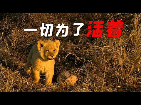 小獅子被母親拋棄，為了活著頑強與死神賽跑，最終逆天改命重獲新生。