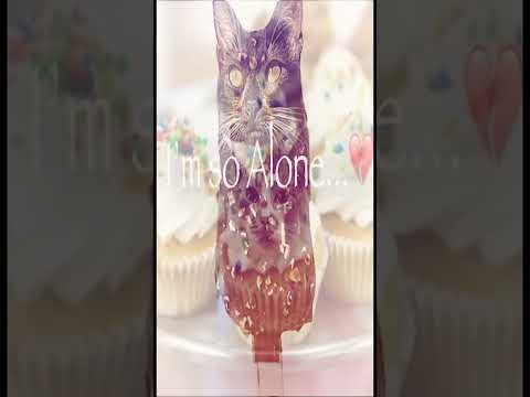 Someone just sent this to me…