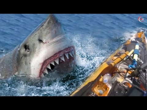 When Fishing Goes Wrong: 85 INSANE Moments Caught on Camera!