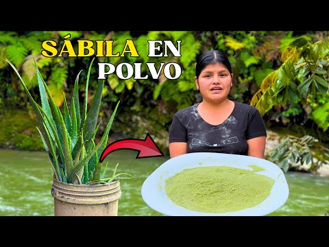 Sabias que puedes hacer sábila en polvo con tan solo un ingrediente - NATHALIA