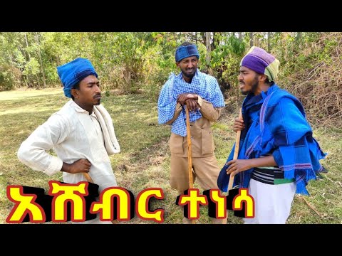 አሸብር ተነሳ 😱 - አዲስ አዝናኝ የገጠር ድራማ