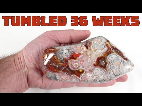 Big Crazy Lace Tumble - One of My Favorite Rocks