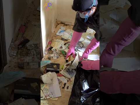 Korean Special Cleaners Cleans Houses of People Who Died Alone