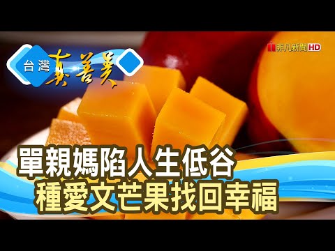 拖板車媽媽的“愛文芒果”｜阿芬芒果樂園 ｜【台灣真善美】2023.07.23