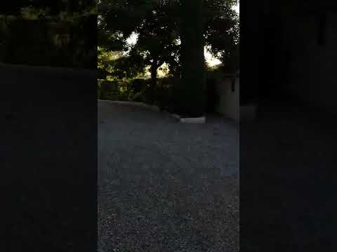 Boules World Champ Final 2022, Mike "Shiny Balls" Paolini vs Roger "Mulley Balls" Ball, cliff hanger