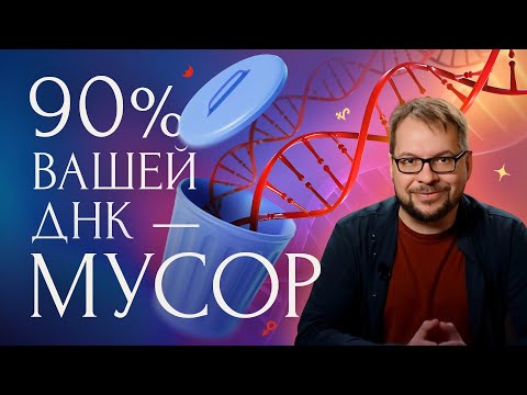 90% вашей ДНК — мусор?