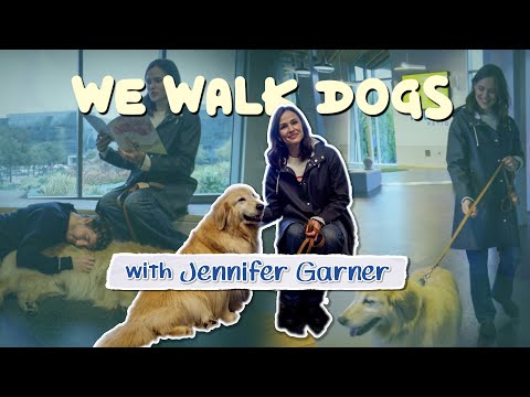 Jennifer Garner and her Golden Retriever, Birdie | WeWalkDogs