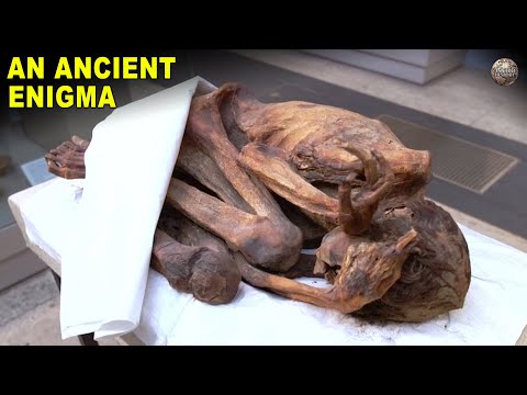 The Gebelein Man, An Ancient Tattooed Murder Victim