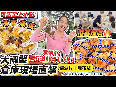 【羅湖村🦀🦀】大閘蟹批發市場價🔥可送海關口或港鐵站（上水站）👍🏻大閘蟹倉庫現場直擊‼️可港幣1:1 😍現場可蒸蟹即買即堂食😋港人北上買大閘蟹攻略🦀買5送1 買10送3🤩深圳抵食大閘蟹最新資訊永利大閘蟹