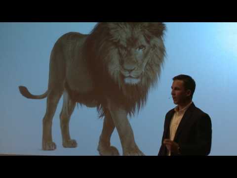 BREATHE. | Joe DiStefano | TEDxLugano