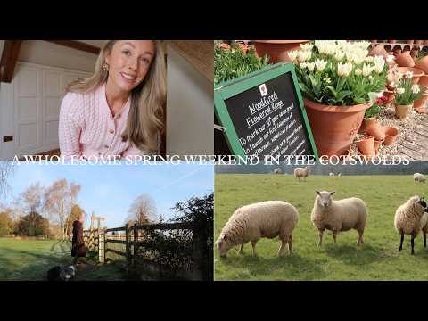 A Glimpse At Our MEGA New Project 👀✨… & Exploring Our Cotswold Favourites