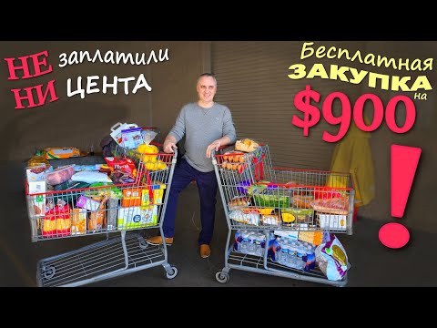 Получили бесплатно 2 тележки продуктов на $900 в Costco! Что с яйцами? Большая закупка в США / Влог