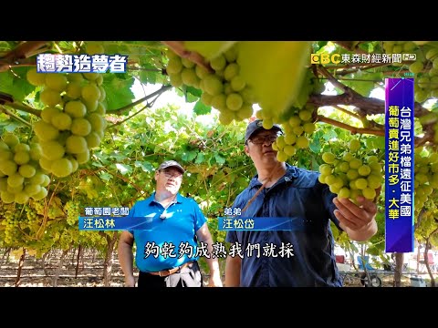 台灣農二代從南投遠征美國 沙漠種出奇蹟葡萄【趨勢造夢者】⁨@dreammaker57 @57ETFN
