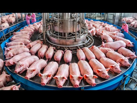 Удивительные Процессы Массового Производства, от Которых Невозможно Оторвать Взгляд