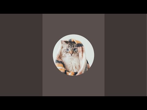 Small art channel live!