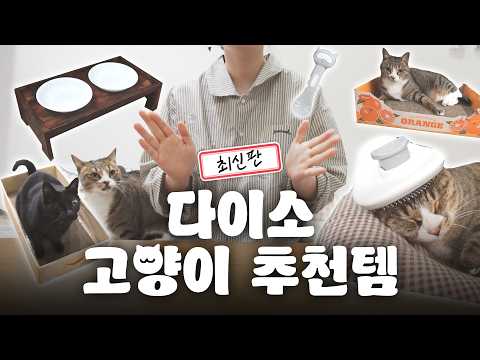 Daiso is crazy... 17 Daiso cat products that are guaranteed to fail.