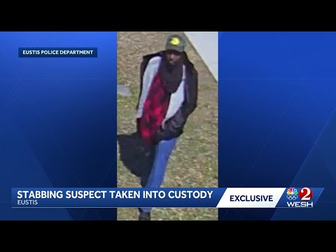 Eustis stabbing suspect identified, taken into custody in Leesburg, police say
