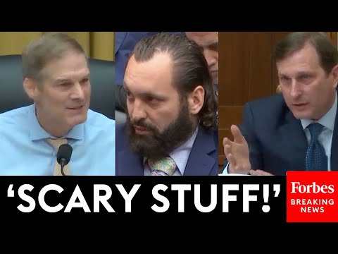 Dan Goldman Grills FBI Whistleblower, Then Jim Jordan Jumps In | Weaponization Committee Hearing