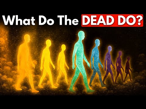 What Are The Dead Doing Now?