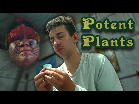 Ayahuasca: Death of the Shaman