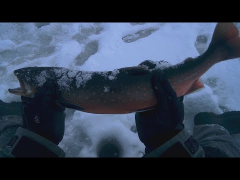 Зимняя ловля арктического гольца на Кольском полуострове. Техника ловли гольца зимой.