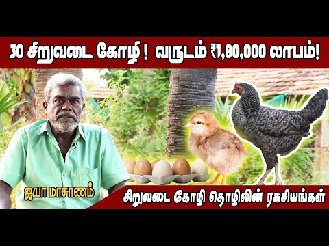 ₹10K முதலீட்டில் வருடம் ₹1.8L லாபமா? சிறுவடை கோழி தொழிலின் ரகசியங்கள்#farming #business #animals