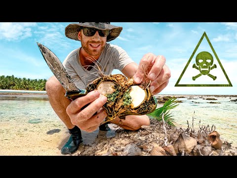 SURVIVAL CHALLENGE: Using Primitive Poison (NEED FOOD, WATER & FIRE)