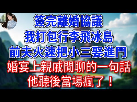 簽完離婚協議，我打包行李飛冰島，前夫火速把小三娶進門，婚宴上，親戚閒聊的一句話，他聽後當場瘋了！#為人處世#生活經驗#情感故事#故事#小說#戀愛#情感#婚姻