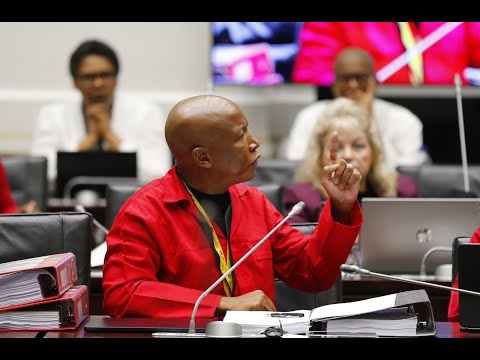 EFF President Julius Malema, & EFF Deputy Secretary-General,LeighAnnMathys cross examination