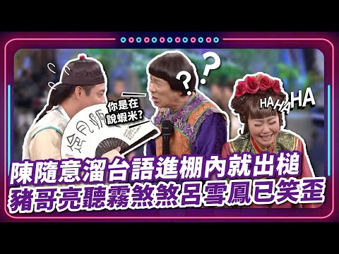 陳隨意溜台語進棚內就出槌? 豬哥亮聽霧煞煞呂雪鳳已笑歪｜豬哥亮 陳亞蘭 呂雪鳳 邱逸峰 伊正 陳隨意 黃思婷 EP58｜#現代嘉慶君