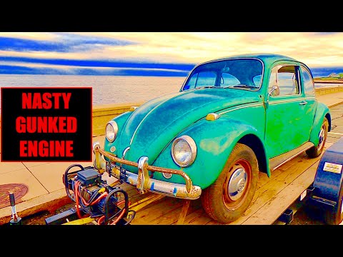 FIRST START ! WILL IT RUN ? 1967 VW Beetle sitting for years Found & Rescued - VW Bug Revival : P2
