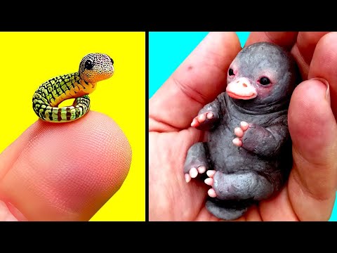 Cutest Baby Animals You Can Legally Own
