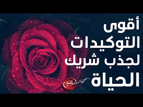 توكيدات جذب الحبيب، شريك الحياة و توأم الروح. كرر الإستماع لنتائج سريعة