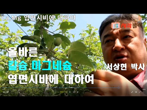 [고품질 사과재배] 칼슘.마그네슘 엽면시비. 어떤걸 써야 효과적인가/ 서상현 박사