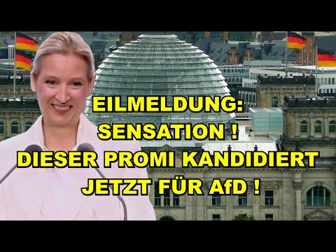 BREAKING: This celebrity is running for AfD!