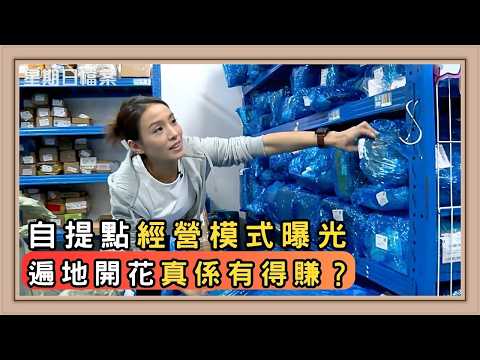 創業開自提點風險有幾高?真機會定陷阱?|新聞 | 時事 | 資訊節目 | 星期日檔案|Sunday Report