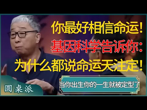 你最好相信命运！基因科学告诉你：为什么世人都说命运天注定！当你出生你的一生就被定型了，这绝不是迷信！#窦文涛 #梁文道 #马未都 #周轶君 #马家辉 #许子东 #圆桌派 #圆桌派第七季